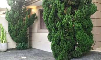 Imagem 3: Casa para venda tem 250 metros quadrados com 3 quartos em Vila Fiat Lux - São Paulo - SP