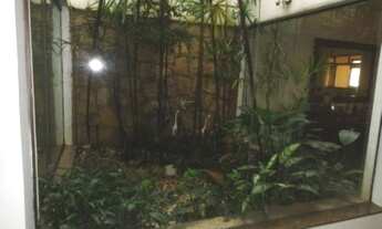 Imagem 5: CASA RESIDENCIAL em SÃO PAULO - SP, MOINHO VELHO