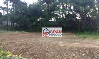 Imagem 4: Terreno à venda, 600 m² por R$ 610.000,00 - Santa Felicidade - Curitiba/PR