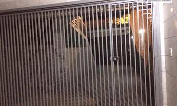 Imagem 2: Sobrado com 3 dormitórios à venda, 500 m² por R$ 1.850.000,00 - Vila Ré - São Paulo/SP