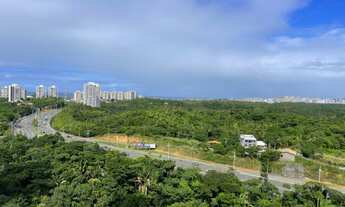 Imagem 4: Ludco Greenville