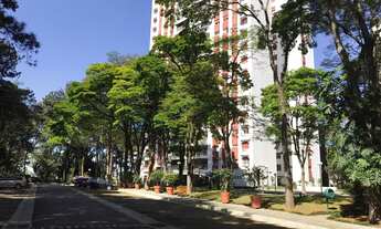 Imagem: Apartamento para venda no Morumbi com 3