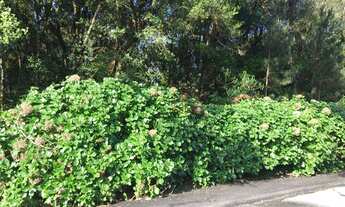 Imagem 5: Área no bairro Mato Queimado em Gramado!