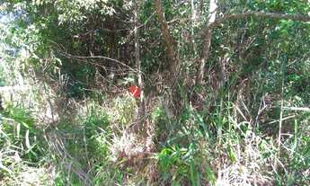 Imagem 5: Nova Lima - Loteamento/Condomínio - Cond. Arvoredo