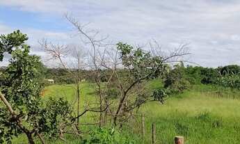 Imagem 4: Chácara para venda com 21 mil metros casa com 5 quartos cercada, água e luz linda
