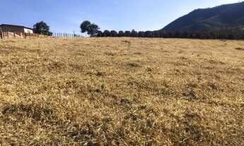 Imagem 2: Vende-se sítio Chácara com venda por R$290.000