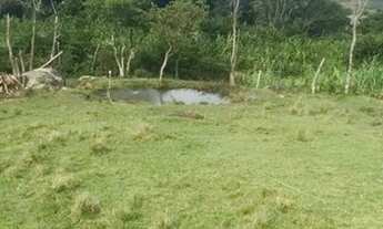 Imagem: Belo Terreno Localizado no Bairro Costa