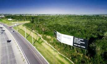 Imagem 6: Venha morar no melhor do Eusébio: lote nascente na Cidade Alpha Ceará 2