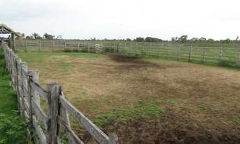 Imagem 3: Fazenda para Venda em Santo Antônio do Leverger, Engenho Velho