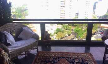 Imagem 7: Moema Pássaros - Exclusivo!