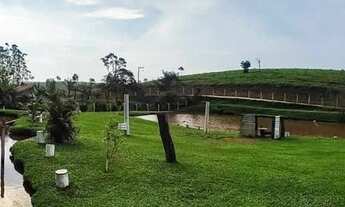 Imagem 7: Sítio Alto padrão com 3 dormitórios à venda, 10000 m² por R$ 1.500.000 - Morro Alto - Baln