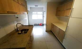 Imagem 6: Moema pássaros próximo a rouxinol