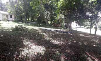 Imagem 7: VENDO SÍTIO NA BR174- KM16