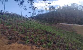 Imagem 2: Excelente Chácara de 5.600 m² na região de Delfim Moreira- Sul de Minas Gerais