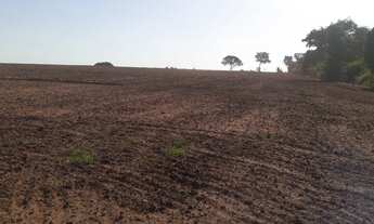 Imagem: Fazenda em coceição das alagoas 77 alqueirão