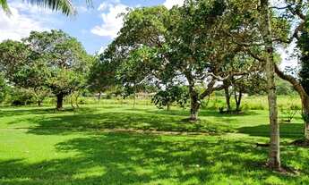 Imagem 5: Sitio na localidade de Murutuba, proximidades do Município de Cachoeira, 7 tarefas