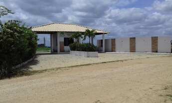 Imagem 6: Sapeaçu Ville, Loteamento escriturado, 350 m², frente Rodoviária Sapeaçu, infraestrutura