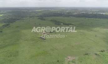 Imagem: Fazenda no Pará - Mãe do Rio - PA