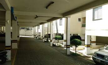 Imagem 5: Paraisópolis, São Paulo - SP