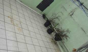 Imagem 4: Ótima casa térrea