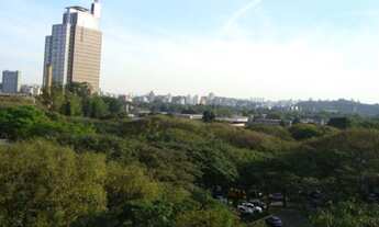 Imagem 2: ALTO DE PINHEIROS