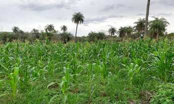 Imagem 7: Lindo baixadão de 20 mil metros (Temos varias opções)