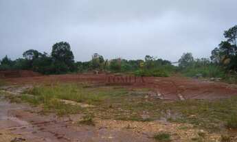 Imagem 3: TERRENO PLANO - 6.075,00 M2 -- São Dimas - Colombo/PR