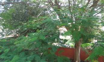 Imagem 4: São Paulo - Casa Comercial - MOEMA