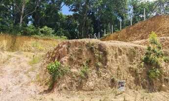 Imagem: Brusque - Terreno Padrão - Souza Cruz