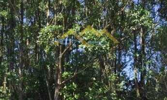 Imagem 4: Terreno à venda em Imbituba/SC