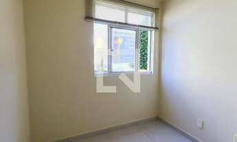 Imagem 7: Apartamento para Aluguel - Colônia Rio Grande, 3 Quartos, 55 m2