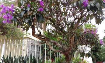 Imagem 7: SOBRADO - SUMAREZINHO - SP