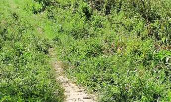 Imagem 5: Vendo fazenda em Nazaré das farinha