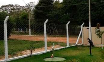 Imagem 5: Santo Antônio do Aracanguá - Fazenda/Sítio - Zona Rural