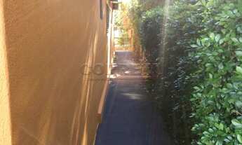 Imagem 4: Santo Antônio do Aracanguá - Fazenda/Sítio - Macaúba