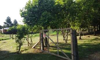 Imagem 2: Terrenos no bairro Sta Terezinha - Taquara