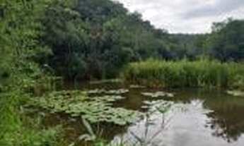 Imagem 5: Terra Verdes - Lagoa Santa