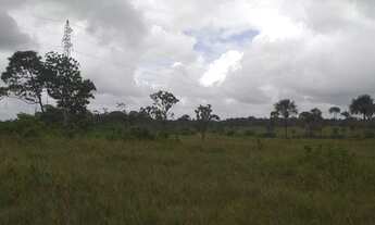 Imagem 5: Fazenda/sitio 200 hectares Pracuuba-AP