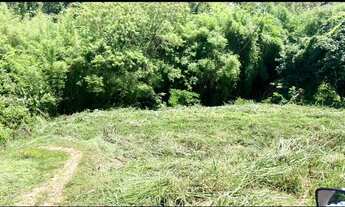 Imagem 4: Terreno no centro de Pedreira