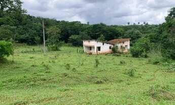 Imagem 3: Fazenda 3ha, com 3km de beira de rio, nascente no terreno, terra de cultivo, Lagoa Santa