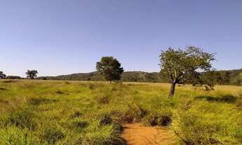 Imagem 7: Fazenda de 125 alqueires em Bom Jardim de Goias-Go