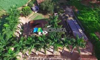 Imagem 6: FAZENDA EMPRESA - REGIÃO VIÇOSA (MG