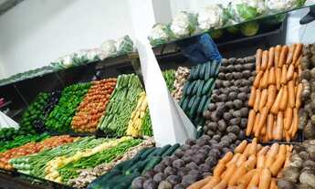 Imagem 4: Passo ponto com sacolão todo montado