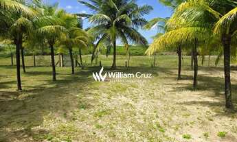 Imagem 5: Terreno Beira-Mar Exclusivo no Pontal do Boqueirão Japaratinga