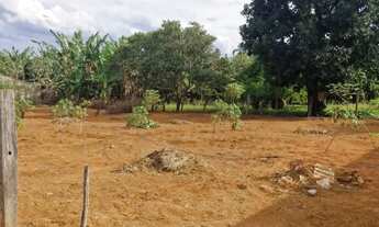 Imagem 5: Vendo lote em Padre Lucio - GO