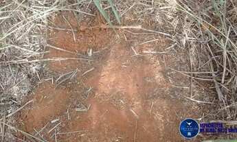 Imagem 7: Fazenda à Venda em Doverlândia GO | 433 Alqueires
