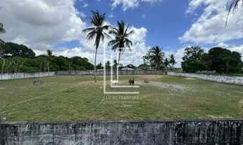 Imagem 7: Excelente oportunidade! Área de aproximadamente 17.350m² na Av. Gustavo Paiva em Rio Largo