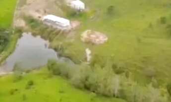 Imagem 5: Vende se linda chácara com 68 mil metros toda formada em alexania go 11 km da cidade