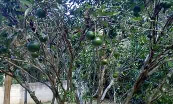 Imagem 5: Terreno para Chácara em Arujá - Ótima Localização