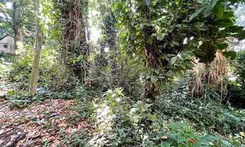 Imagem 3: Terreno à venda, 4483 m² por R$ 3.000.000,00 - São Francisco - Niterói/RJ